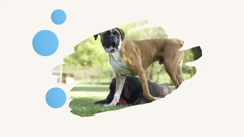 Design sans titre (4)