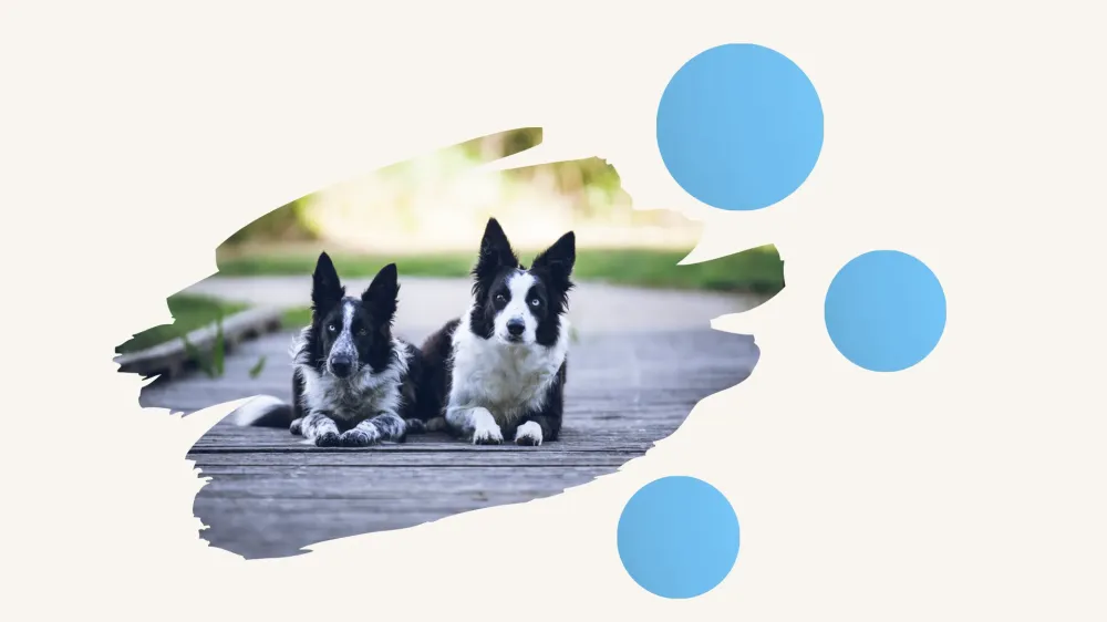 Design sans titre (6)