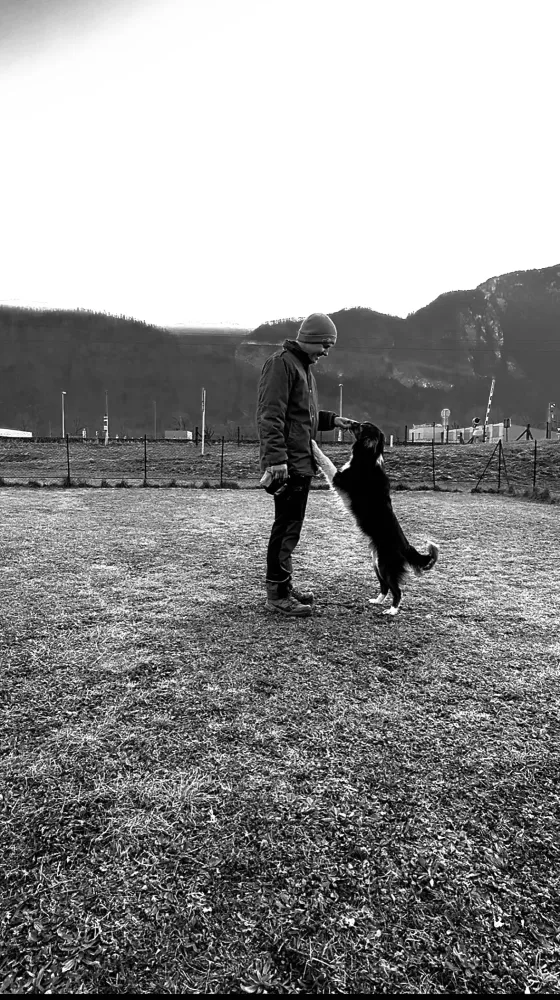 20260108_085129000_iOS